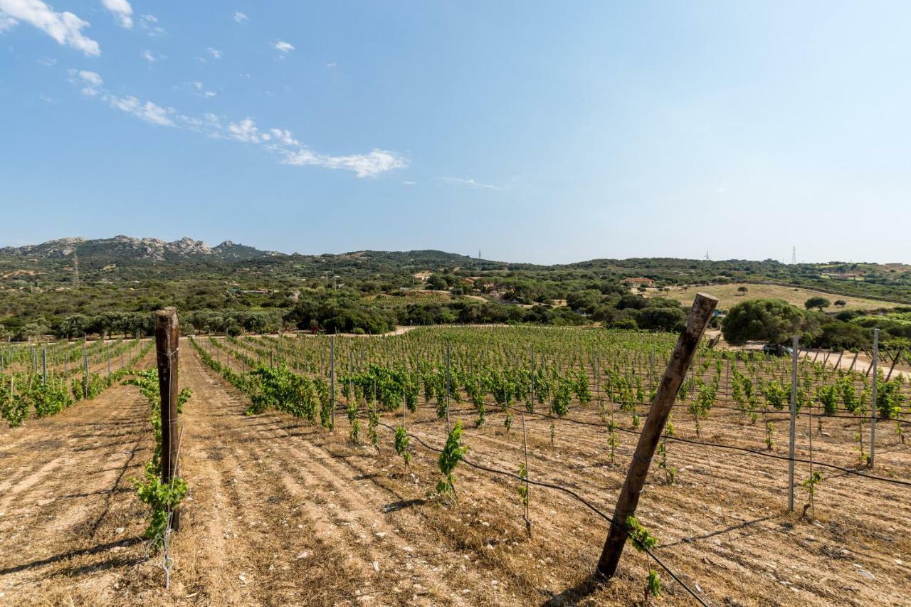 Tenuta Petra Bianca Palau Exterior photo